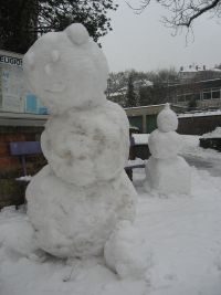 IMG_2337.JPG