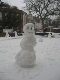 IMG_2340.JPG