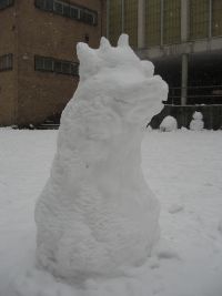 IMG_2350.JPG