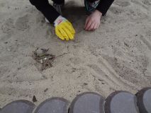 DSC01630.JPG